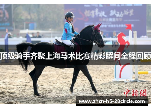 顶级骑手齐聚上海马术比赛精彩瞬间全程回顾