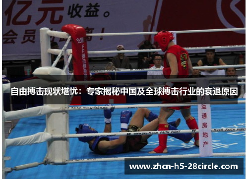 自由搏击现状堪忧：专家揭秘中国及全球搏击行业的衰退原因