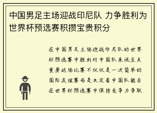 中国男足主场迎战印尼队 力争胜利为世界杯预选赛积攒宝贵积分 中国男足主场迎战印尼队 力争胜利为世界杯预选赛积攒宝贵积分
