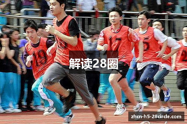 解读28圈